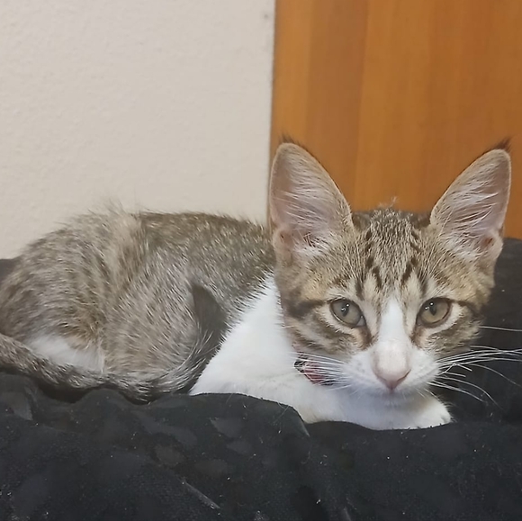 Kristine : ) - Picture 5 of 6